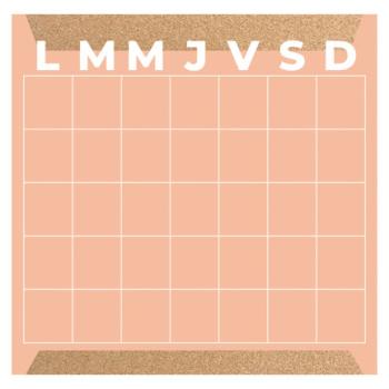 PLANEADOR MENSUAL ALFRA MIXTO CORAL  30X30 CM