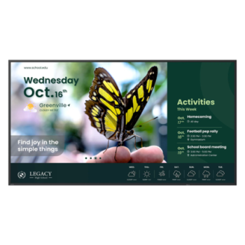 Pantalla BenQ ST5504 55