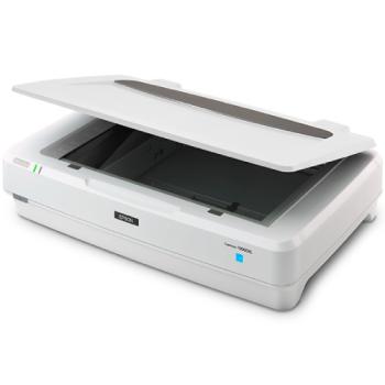 Escaner Epson B11B257201 Expresion 13000XL