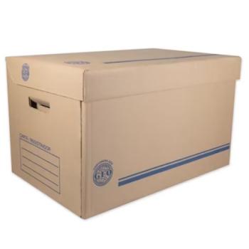 Caja GEO para Archivo Registrador Tamaño Carta 50 X 31 X 29 pza