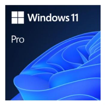 Licencia Microsoft OEM Windows 11 Pro 64 bits Español