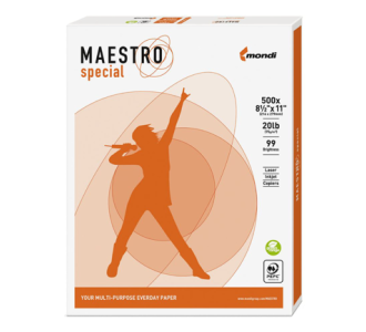 Papel Cortado Maestro Special Carta 95% de Blancura 75Grs Caja c/5000 Hojas