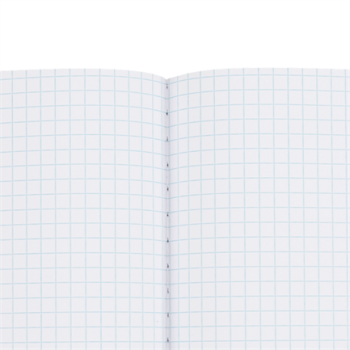 Cuaderno Nextep Profesional Cuadro Grande C7 100 Hojas Cosido