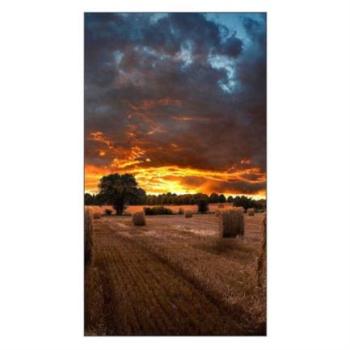 Pantalla Samsung 46
